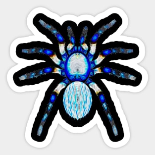 Crystal Ice Spider Sticker